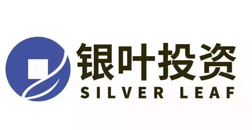 銀葉量化聚焦 宏觀量化周報