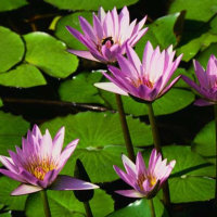 仙岳小學2007級2班 - 班級圈圈 - 成員 - 文明小博客 - 廈門網