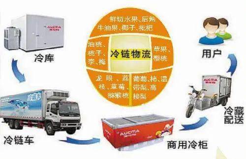 食品安全標準宣貫 食品安全國家標準 食品冷鏈物流衛(wèi)生規(guī)范 gb 31605 2020