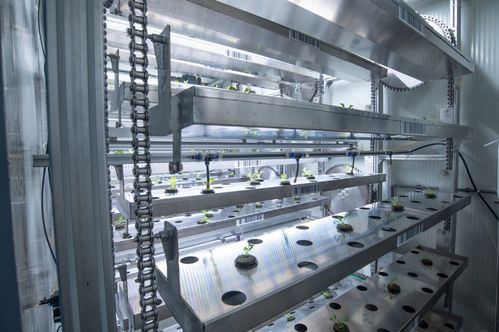 聚焦農業科技創新 植物工廠種出 智慧菜