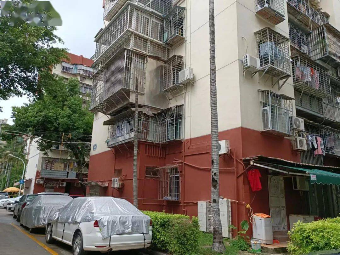 實踩:廈門島內成交最火爆的老舊小區!_房源_小學_仙岳路