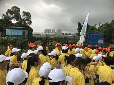 化身小小綠海鷗,共建環保大夢想--僑英小學參加2018年廈門市垃圾分類夏令營