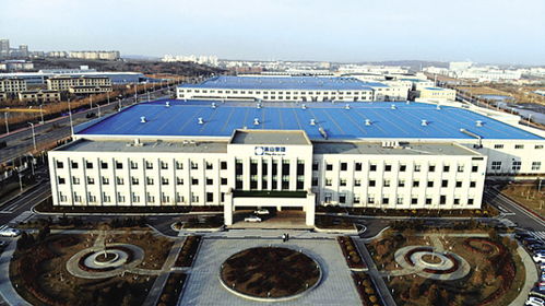 大連金普新區 手術刀 向內 改出一片東北開放高地