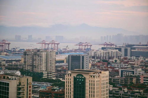 再冷下雨天,也擋不住廈門人拜拜 南普陀求平安 仙岳山求姻緣...春節(jié)祈福,廈門寺院哪家靈